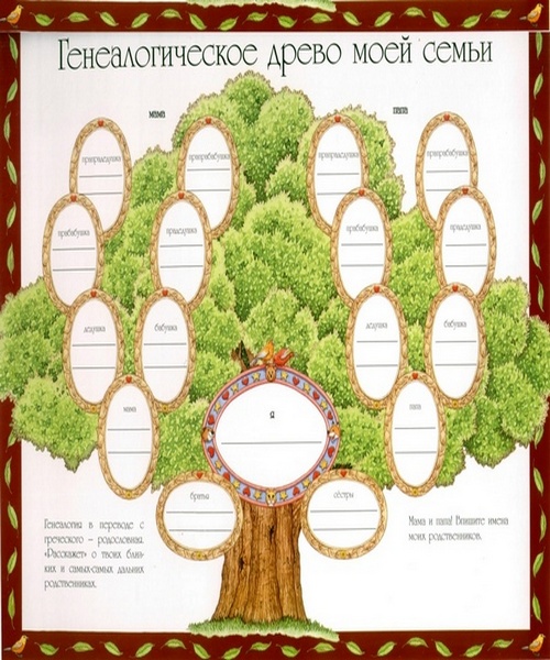 Пример генеалогического древа семьи. Родословная в виде дерева. Семейное Древо макет. Схема генеалогического древа для заполнения. Шаблон для родословной.